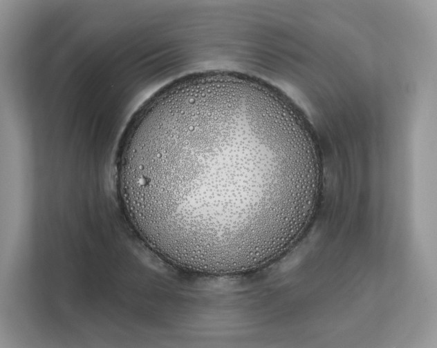 X0000111890879200907301155