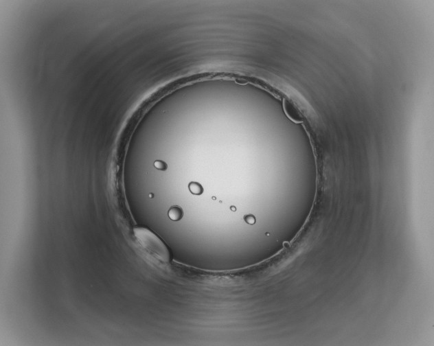 X0000111890880200907301155