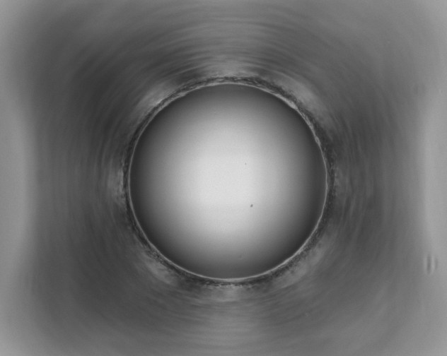 X0000111890881200907301155