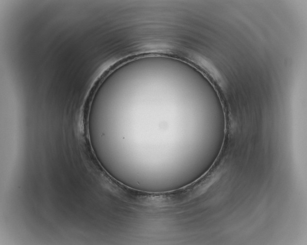 X0000111890883200907301155