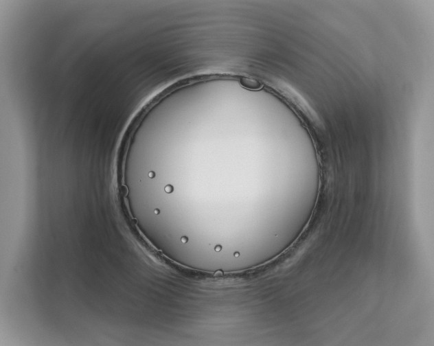 X0000111890884200907301155