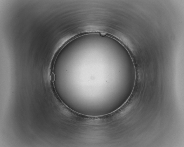 X0000111890885200907301155