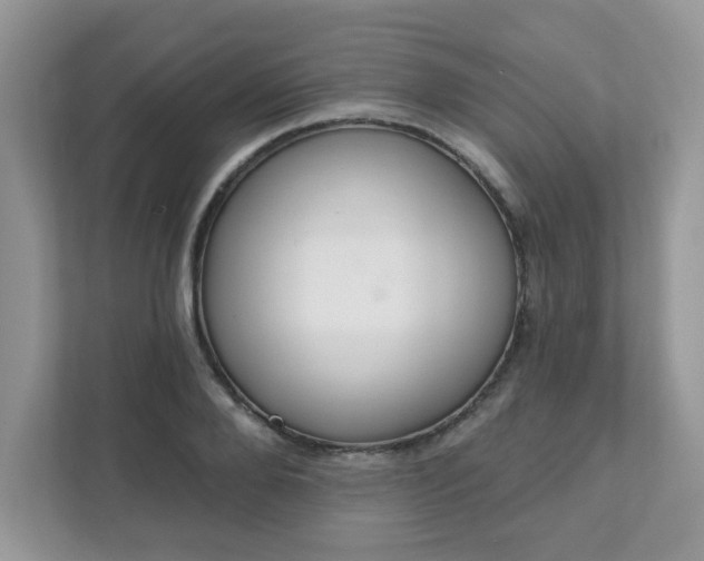 X0000111890888200907301155