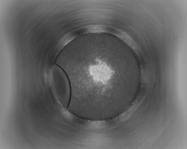 X0000111890889200907301155