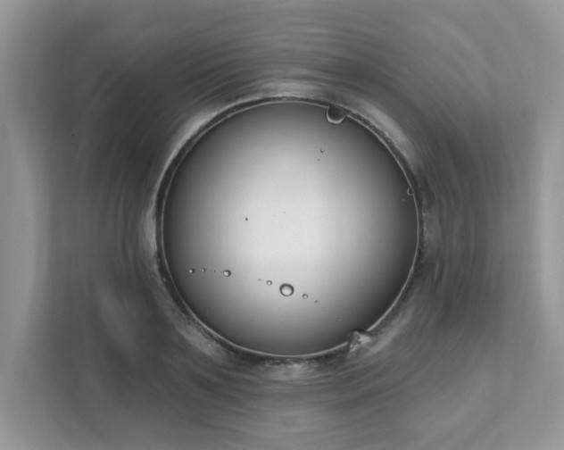 X0000111890891200907301155