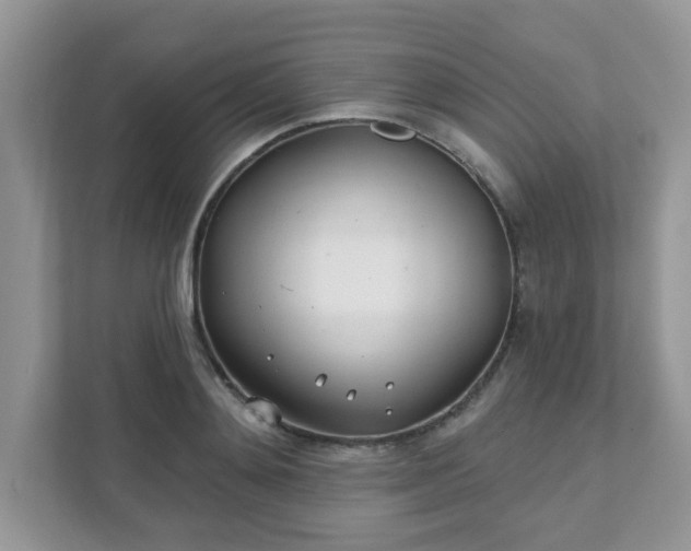 X0000111890892200907301155