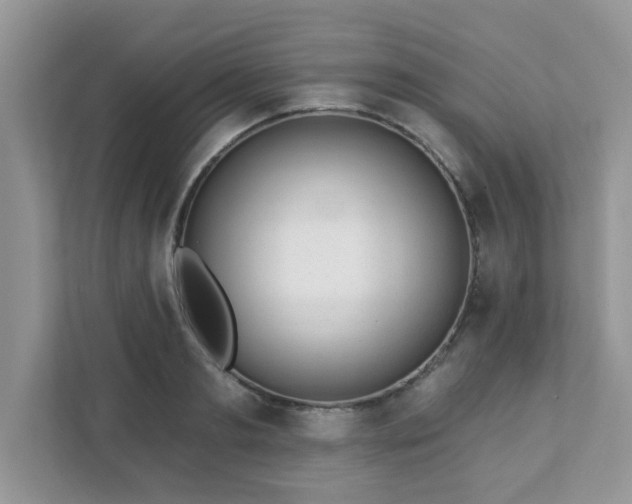 X0000111890893200907301155