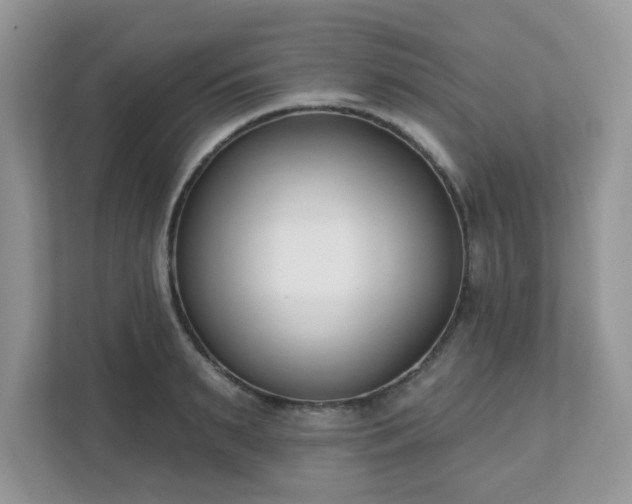 X0000111890895200907301155