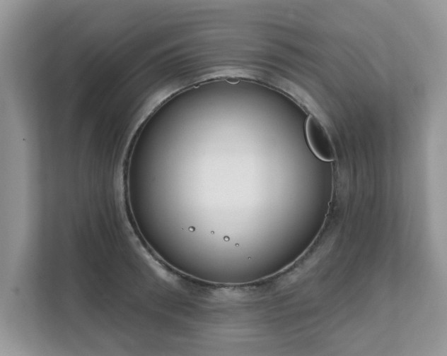 X0000111890898200907301155