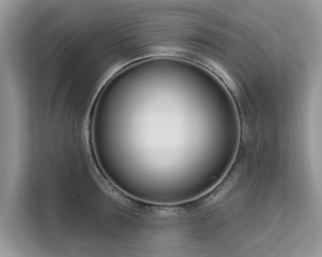 X0000111890899200907301155