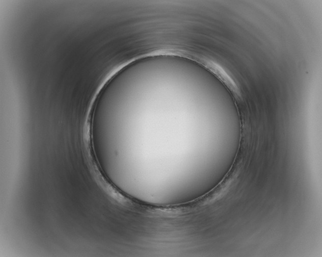 X0000111890900200907301155