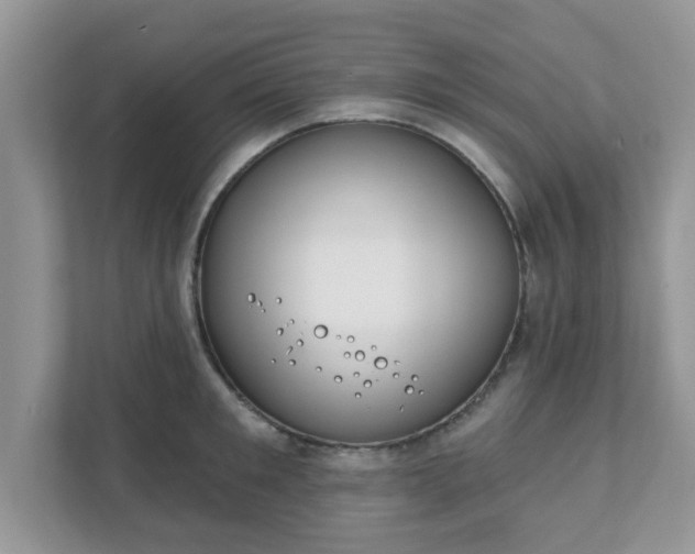 X0000111890901200907301155