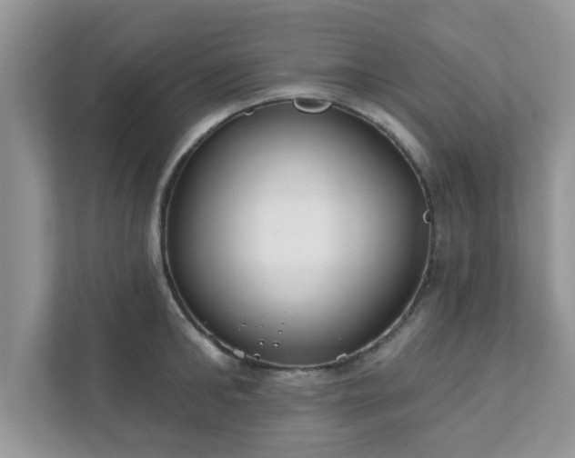 X0000111890902200907301155