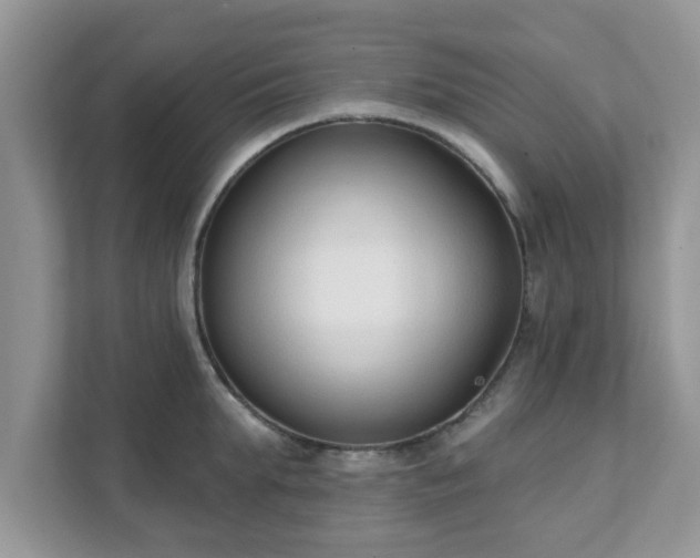 X0000111890903200907301155