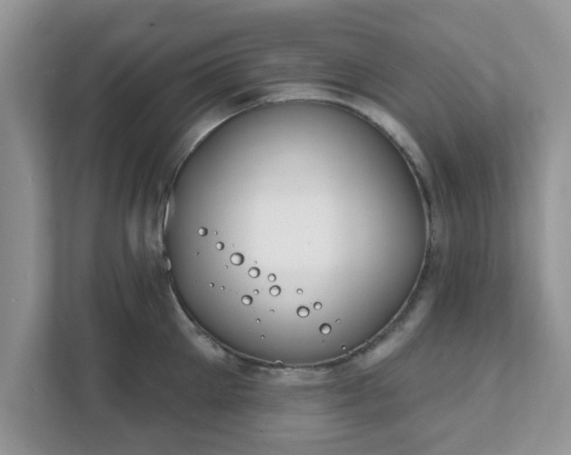 X0000111890905200907301155