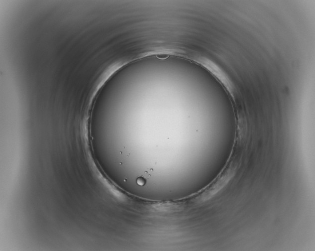 X0000111890906200907301155