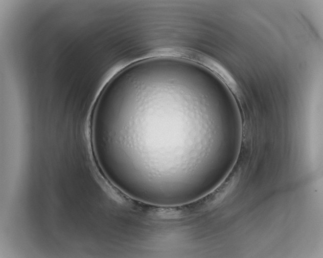 X0000111890907200907301155