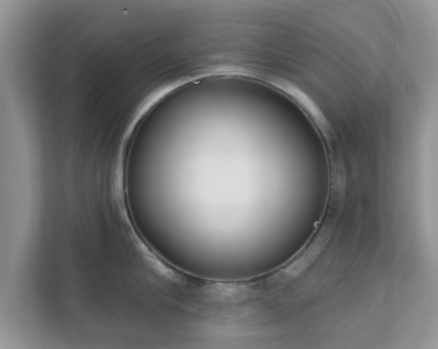 X0000111890910200907301155