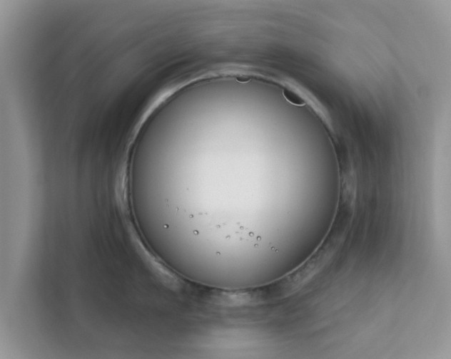 X0000111890911200907301155