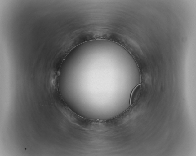 X0000111890914200907301154