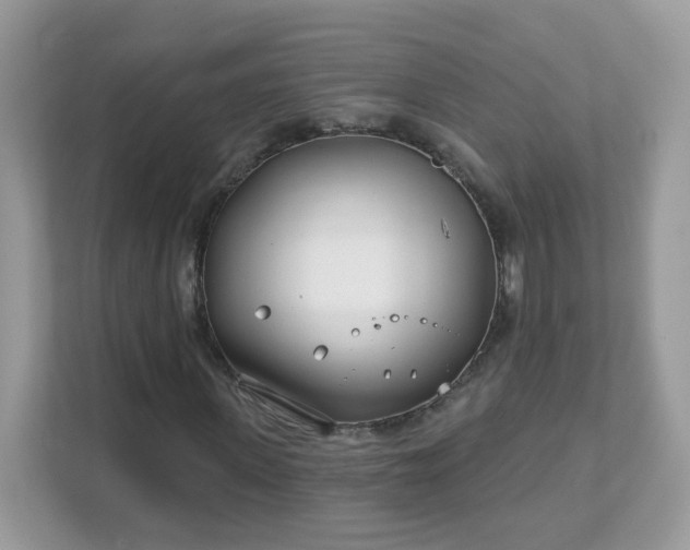 X0000111890915200907301154