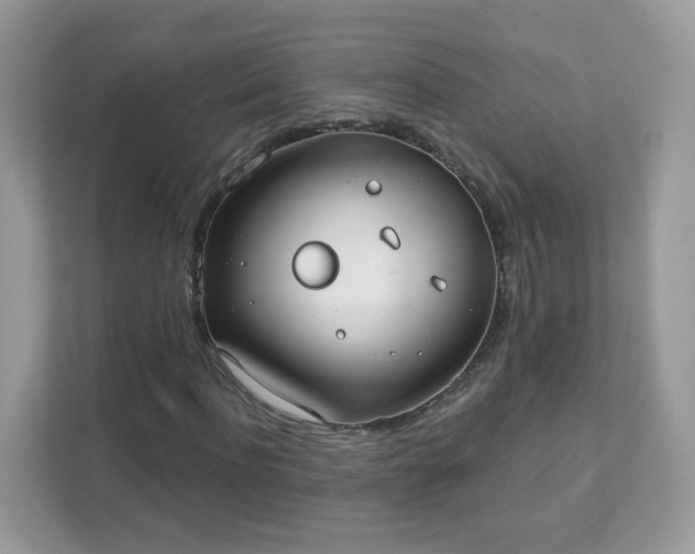 X0000111890916200907301154