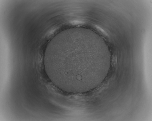 X0000111890917200907301154