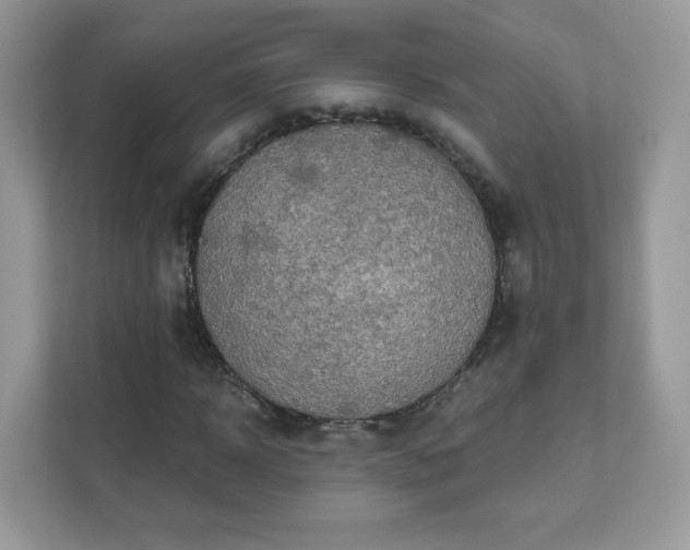 X0000111890918200907301154