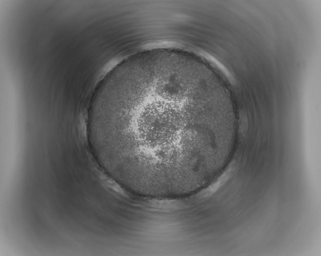 X0000111890921200907301154