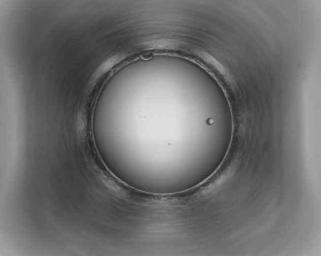 X0000111890922200907301154