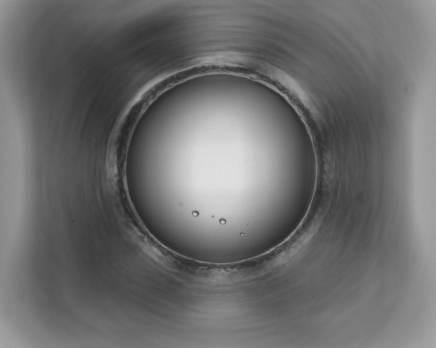 X0000111890923200907301154