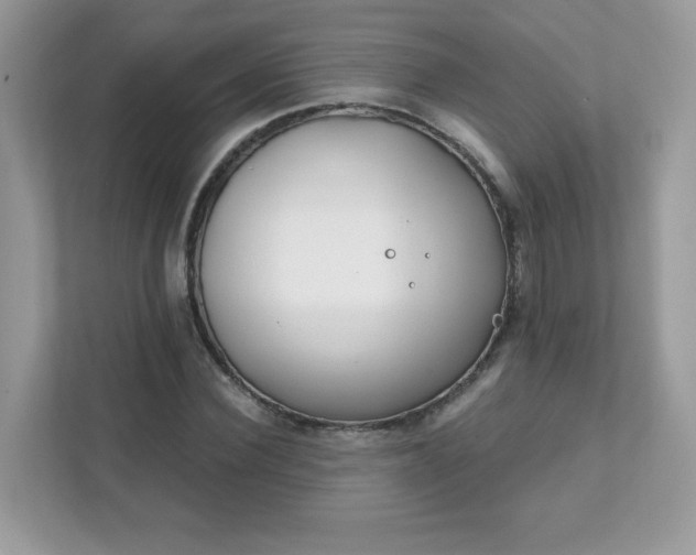 X0000111890924200907301154