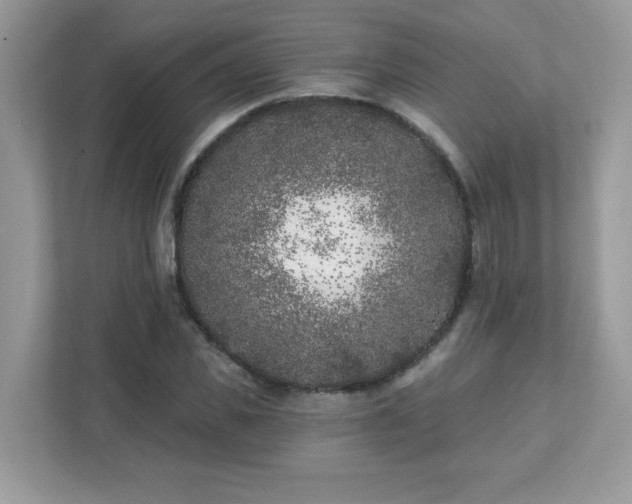 X0000111890925200907301154