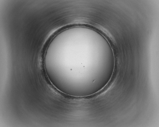 X0000111890926200907301154