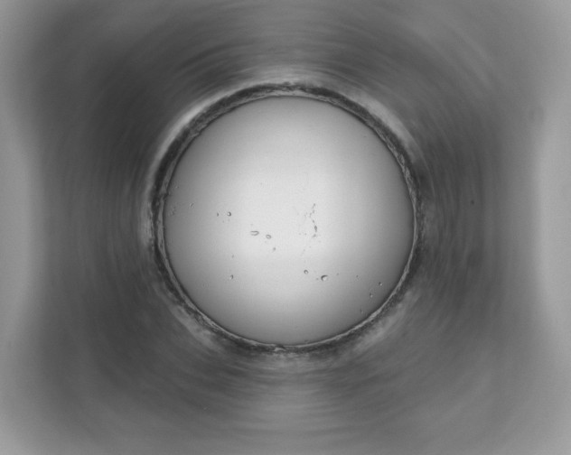 X0000111890927200907301154