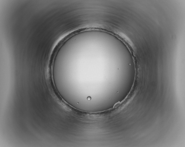 X0000111890928200907301154