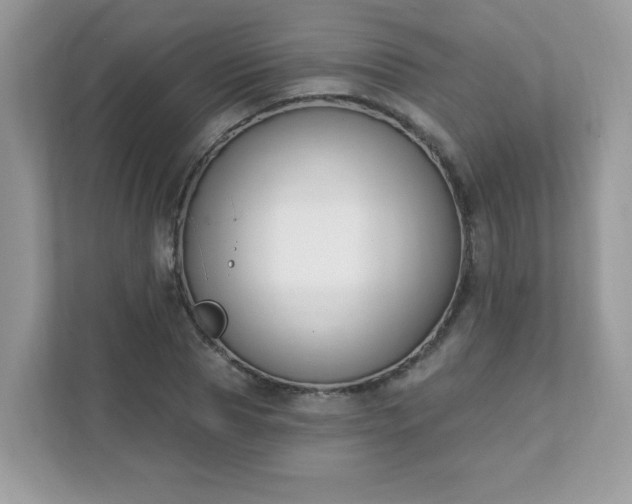 X0000111890929200907301154