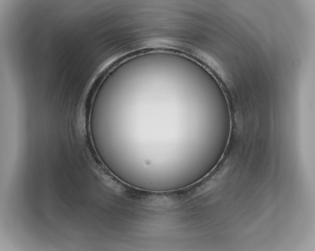 X0000111890931200907301154