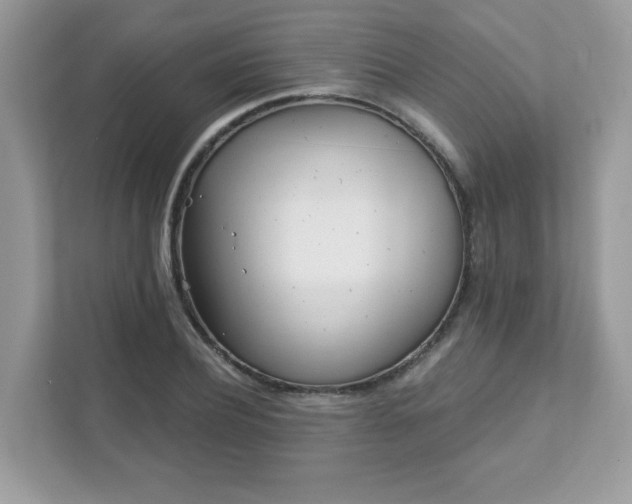 X0000111890932200907301154