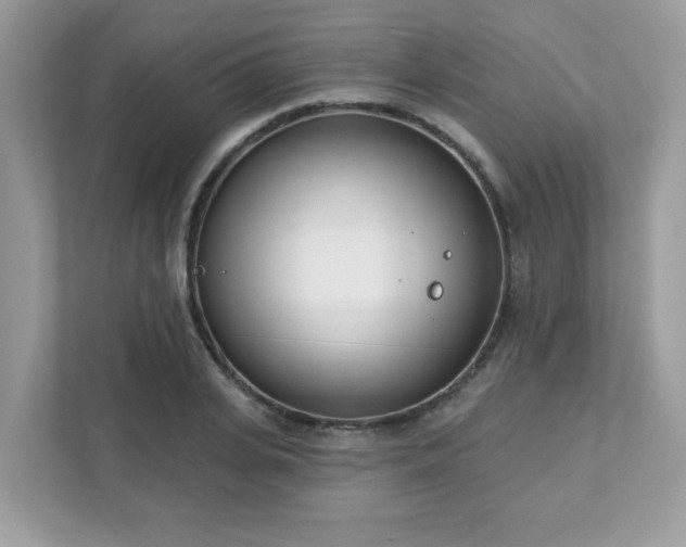 X0000111890935200907301154