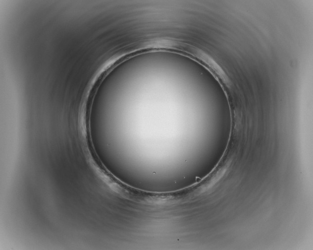 X0000111890939200907301154