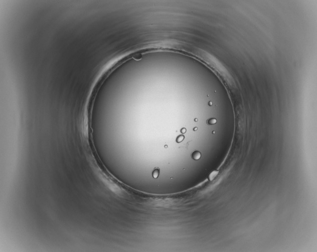 X0000111890940200907301155