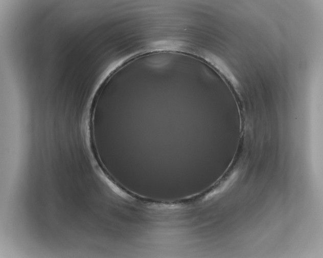 X0000111890941200907301155