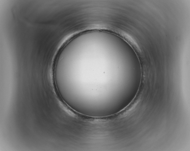 X0000111890942200907301155