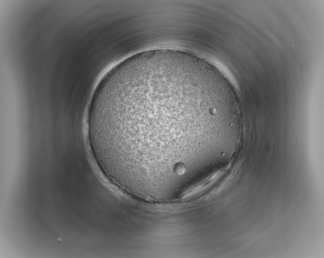 X0000111890944200907301155