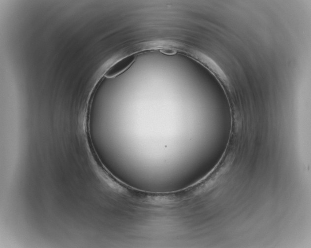 X0000111890946200907301155