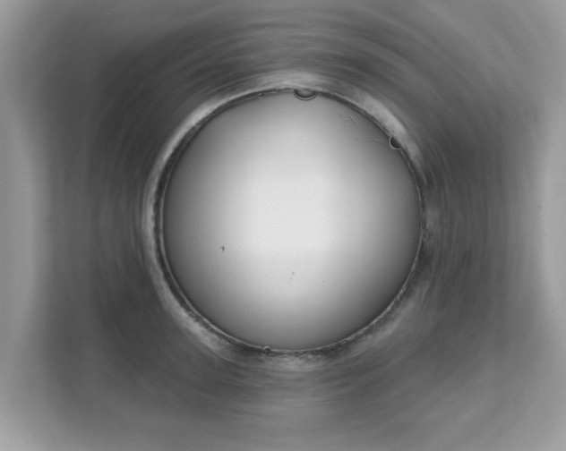 X0000111890947200907301155