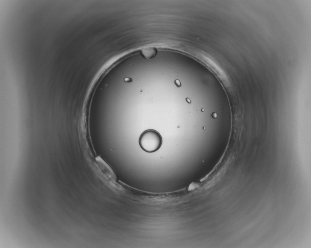 X0000111890948200907301155