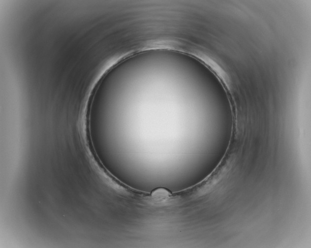 X0000111890949200907301155