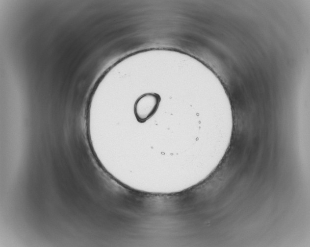 X0000111890950200907301155